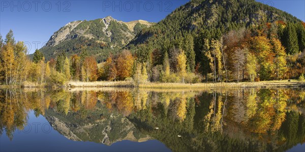 Rubihorn, 1957m, Gaisalphorn, 1953m, and Schattenberg, 1845m, water reflection in the moor pond,
