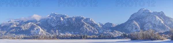 Neuschwanstein Castle near Hohenschwangau, Romantic Road, Ostallgäu, Bavaria, Germany, Europe