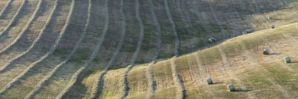 Harvested wheat field with bales of straw, landscape around Pienza, Val d'Orcia, Orcia Valley,