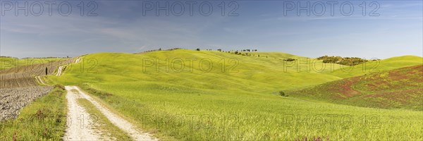 Landscape around San Quirico dOrcia, Val d'Orcia, Orcia Valley, UNESCO World Heritage Site,
