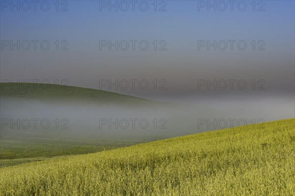 Sunrise in the Crete Senesi, Province of Siena, Tuscany, Italy, Europe
