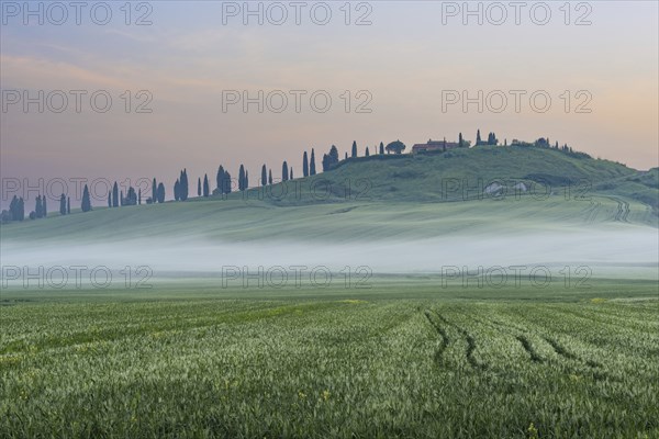 Sunrise in the Crete Senesi, Province of Siena, Tuscany, Italy, Europe