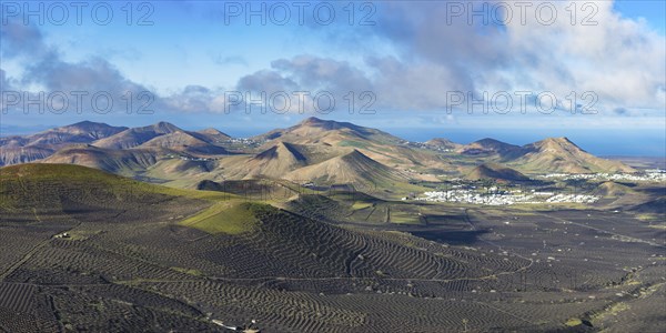 Panorama at sunrise from Montana de Guardilama to the wine-growing region of La Geria, with the
