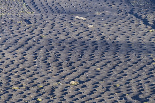 La Geria wine-growing region, Lanzarote, Canary Islands, Spain, Europe