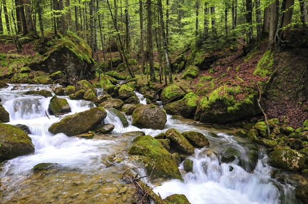 Long exposure of a waterfall on the Steigbach in the Steigbachtobel near Immenstadt in Oberallgäu,