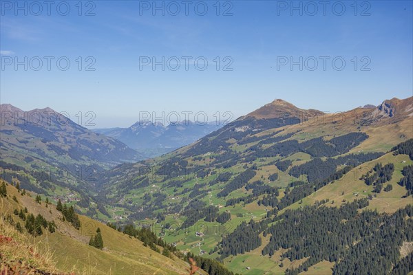 Wide view of a valley surrounded by mountains and forests under a clear sky, saas Fee, Alps,