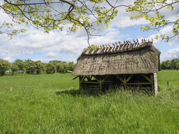 A grass-covered hut on a wide green field on a sunny spring day, Maasholm, Schleswig-Holstein,