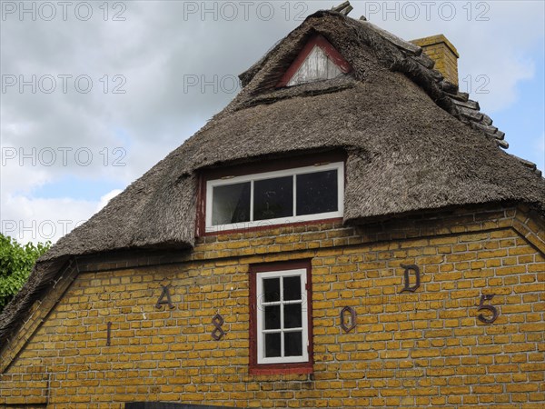 Traditional house with thatched roof and yellow bricks in a rural setting, Maasholm,