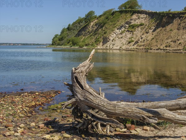A scenic lakeshore with a piece of driftwood in the foreground and steep cliffs in the background,