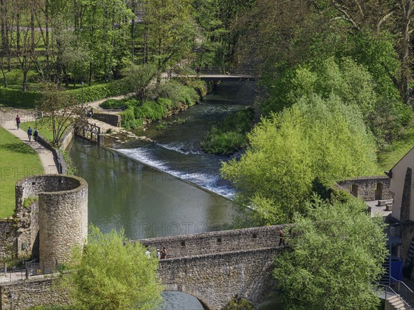 A river with a bridge and ruins in the middle of a green park landscape, walkers enjoying nature,