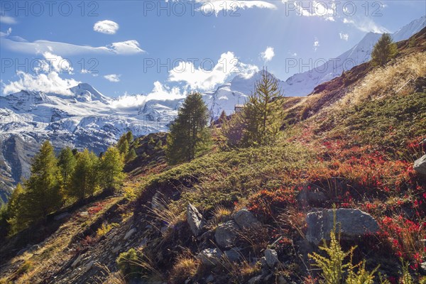 Autumn alpine landscape with snow-covered mountains, green trees and blue sky with clouds, Saas