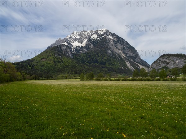 Flower meadow, behind Grimming mountain range, near Irdning, Styria, Austria, Europe