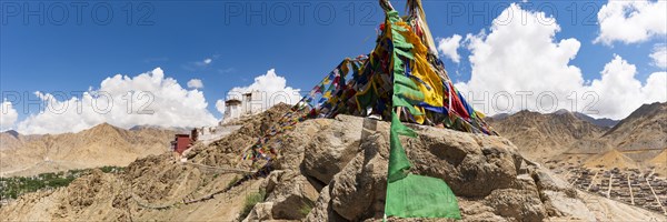 Namgyal Tsemo Gompa Monastery, Tsenmo Hills, Leh, Ladakh, Jammu and Kashmir, India, Asia