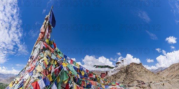 Namgyal Tsemo Gompa Monastery, Tsenmo Hills, Leh, Ladakh, Jammu and Kashmir, India, Asia
