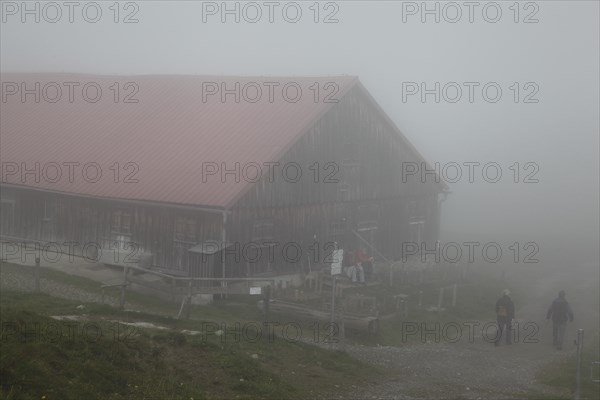 Alpine pasture in the fog with hikers