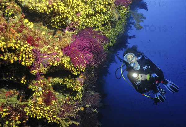 Scuba diver female diver swimming dives on rocky reef reef wall with overhang illuminated with