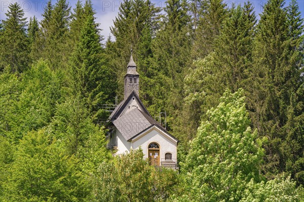 Small church with tower, hidden in a dense forest area on a beautiful summer day, Achernsee,