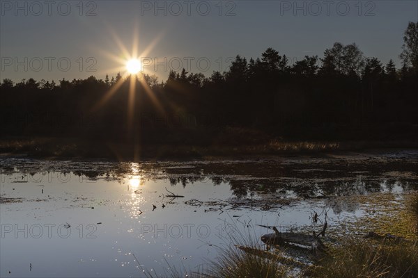 Sunset in the Schonramer Filz, an upland moor near Traunstein, Bavaria