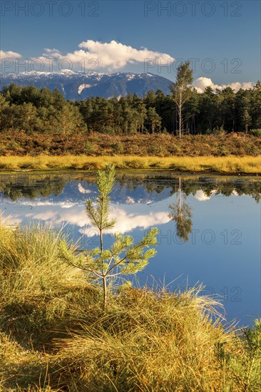 Schonramer Filz, a raised bog near Traunstein, Bavaria in the evening light