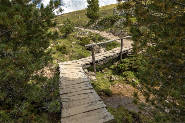 Hiking trail on the Rasciesa, Val Gardena, South Tyrol