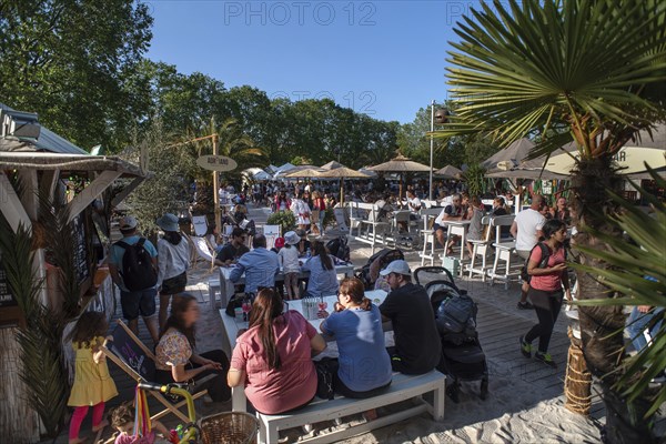 Summer oasis, temporary sandy beach on the island of Schütt, Nuremberg, Middle Franconia, Bavaria,