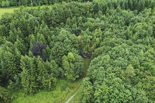 The Dengelstein (also: Denkelstein) is a boulder in the Kempten Forest. Betzenried, Durach,