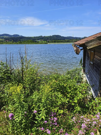 Boathouse on the lake with a gutter that is overgrown with moss