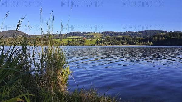 Rottachsee near Sulzberg