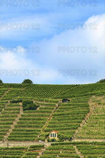 Mundelsheim am Neckar a wine region near Stuttgart
