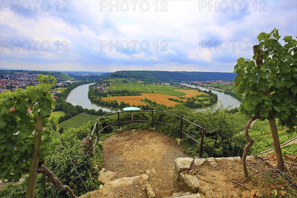 Mundelsheim am Neckar a wine region near Stuttgart