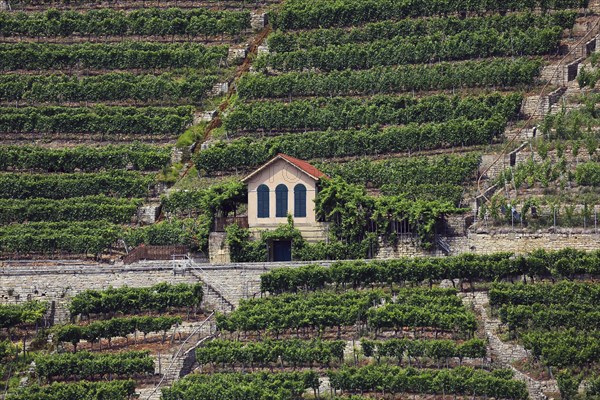 Mundelsheim am Neckar a wine region near Stuttgart