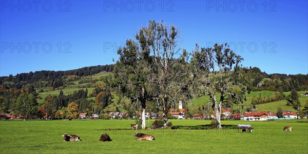 Niedersonthofen