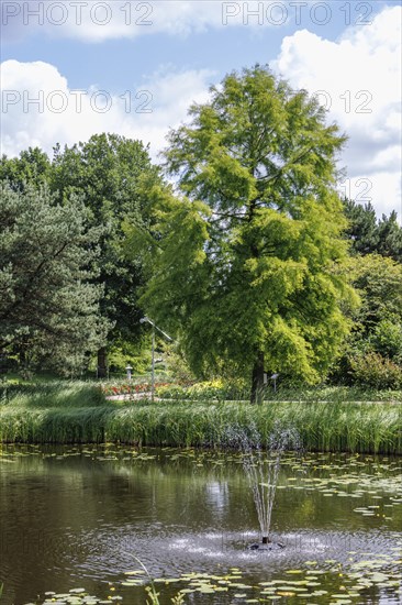 Calm pond with splashing fountain under cloudy sky and green vegetation, bad zwischenahn, Lower