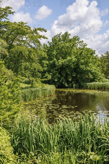 Tranquil pond and lush green trees under a blue, cloudy sky, bad zwischenahn, Lower Saxony,