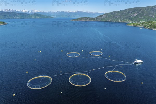 Floating cages of a salmon farm, Hardangerfjord near Jondal, aerial view, Hardanger, Norway, Europe