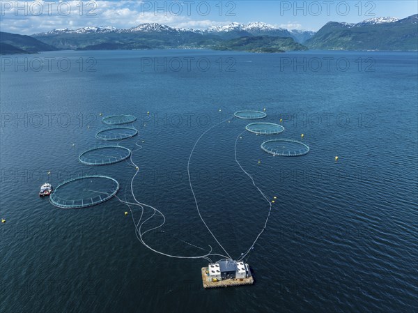 Floating cages of a salmon farm, Hardangerfjord near Jondal, aerial view, Hardanger, Norway, Europe
