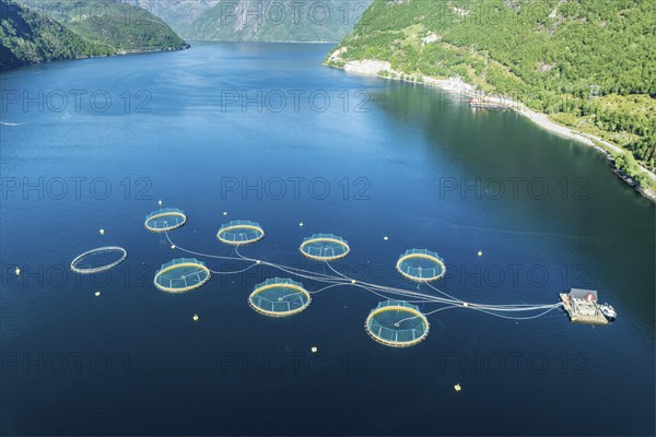 Floating cages of a salmon farm, Hardangerfjord near Bondhus, aerial view, Hardanger, Norway,
