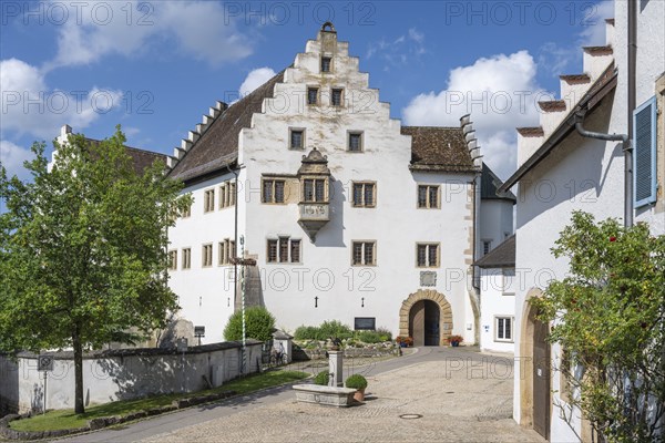 Flower field Castle in Hegau, Tengen, district of Constance, Baden-Württemberg, Germany, Europe