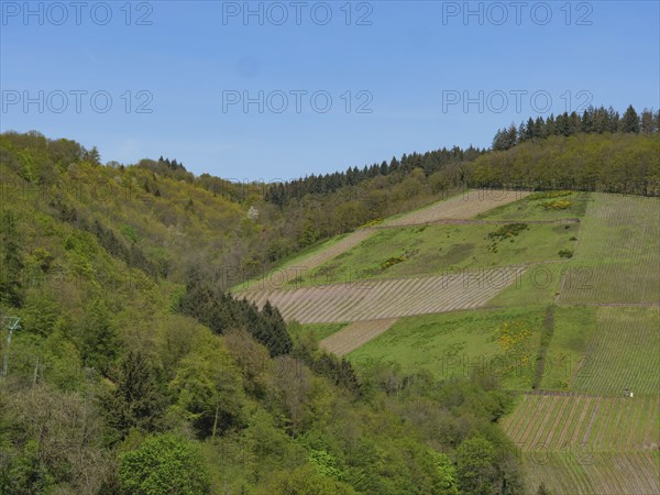 Hilly, wooded landscape with green fields on a clear spring day, saarburg, germany