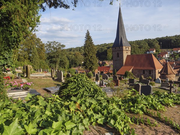 View of cemetery with gravestones and church tower in the background, surrounded by green