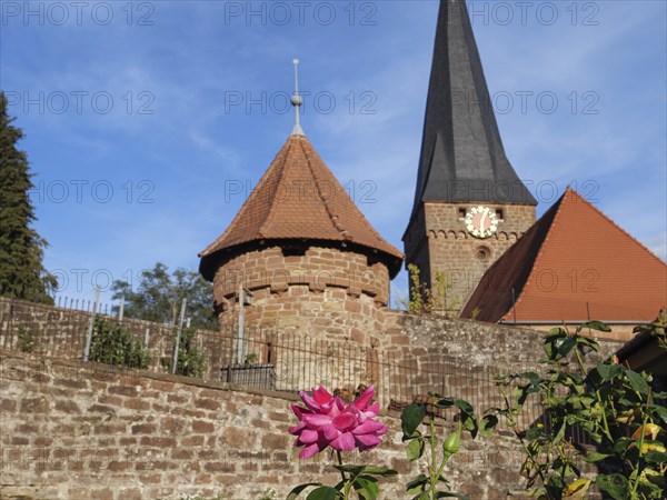 Historic church with striking tower and red roof, garden and flowers in the foreground, Kandel,