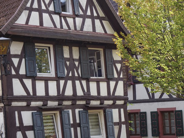 A historic half-timbered house with shutters, a tree in the foreground and autumnal colours,