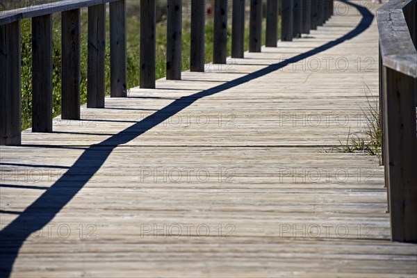Wooden path Wooden bridge