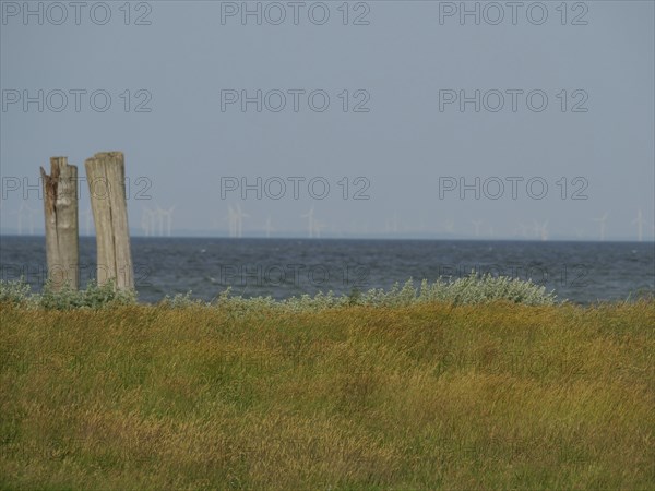 View of the sea and a meadow with wind turbines in the distance, hallig hooge, schleswig-holstein,
