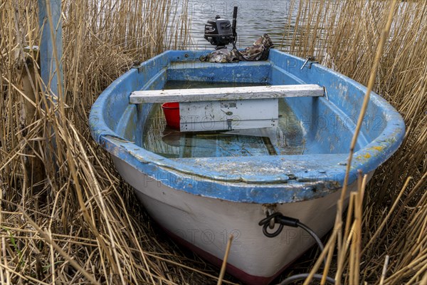 Small boat standing in the reeds, Rügen, Mecklenburg-Vorpommern, Germany, Europe