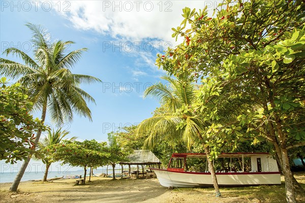 On the beach of Playa Tarcoles Costa Rica