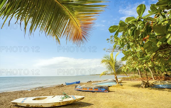 On the beach of Playa Tarcoles Costa Rica