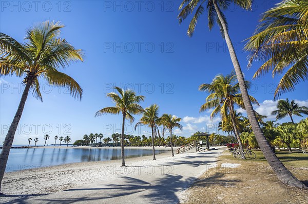 The Round Beach at Matheson Hammock County Park Miami Florida