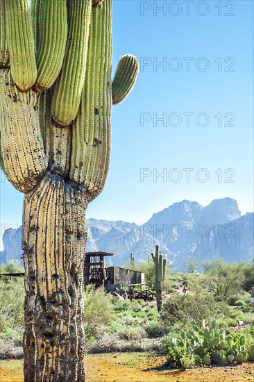 Apache Trail Arizona