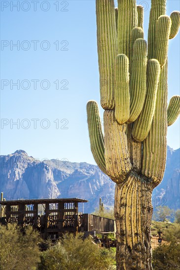 Apache Trail Arizona
